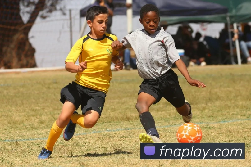 九游会官网APP 封面图